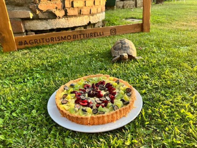 Agriturismo Bitturelli Ponti sul Mincio Eksteriør bilde
