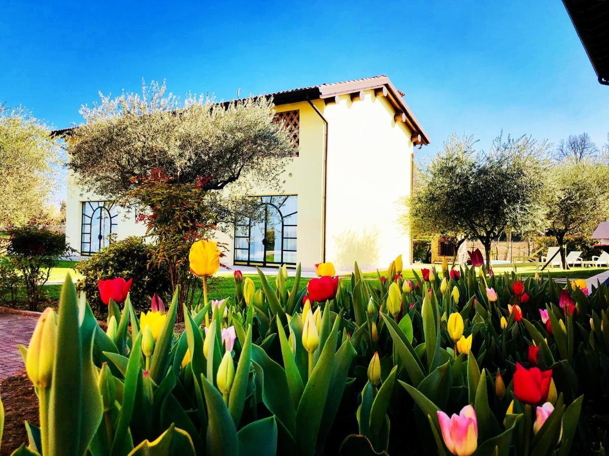 Agriturismo Bitturelli Ponti sul Mincio Eksteriør bilde